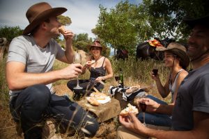 Tourbarcelona barcelona natural park horse riding picnic